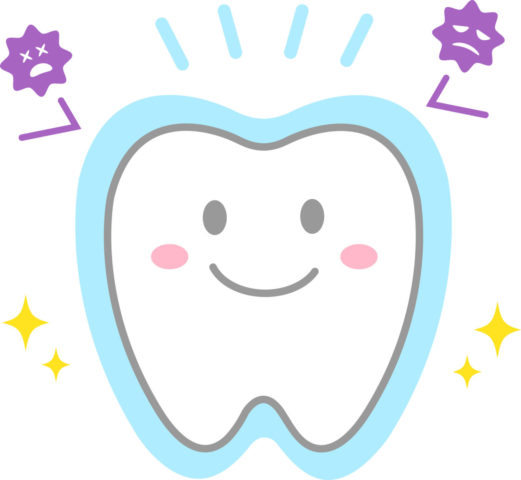 歯の強化